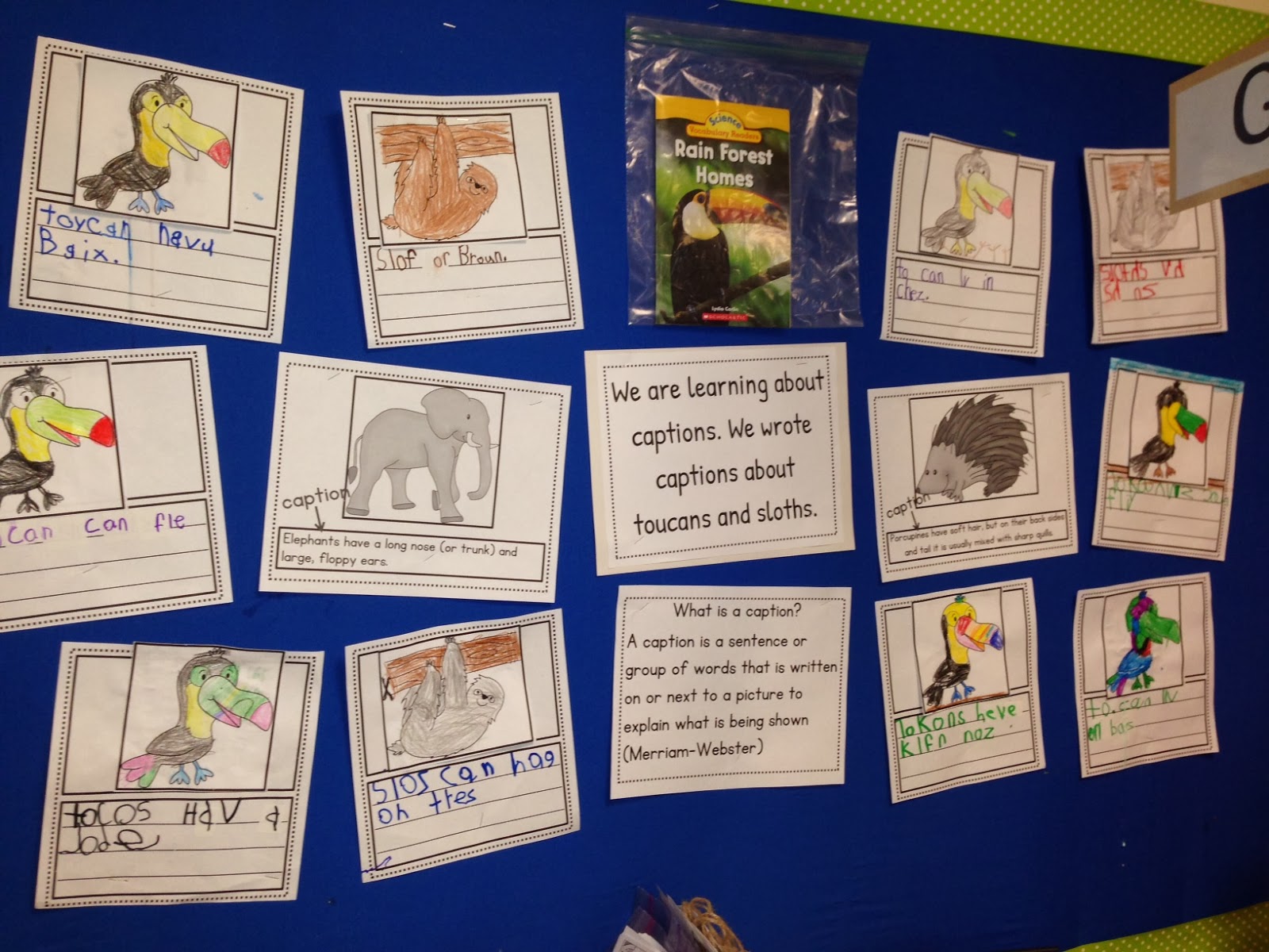 Writing Captions Chalk Talk A Kindergarten Blog Bloglovin’